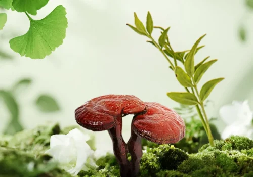 Plant Extract