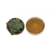 Water Soluble Eucommia leaf Extract Chlorogenic Acid