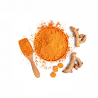 Bulk Organic Turmeric Extract 95% Curcuminoids
