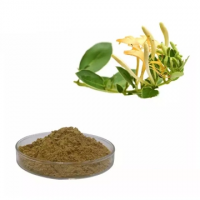 Hot Selling Honeysuckle Extract Powder Chlorogenic Acid