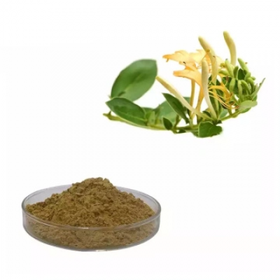 Hot Selling Honeysuckle Extract Powder Chlorogenic Acid