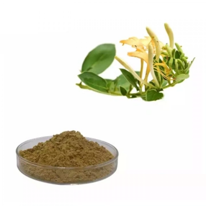 Hot Selling Honeysuckle Extract Powder Chlorogenic Acid