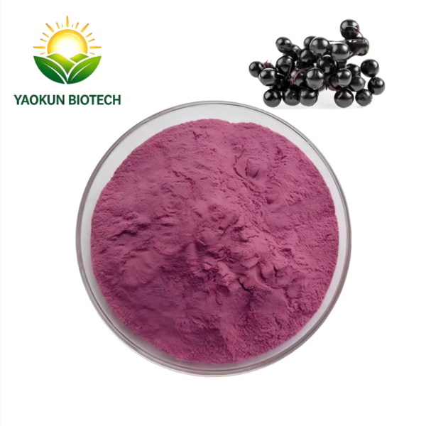 Food Grade Organic Elderberry Fruit Powder 25% Anthocyanins Elderberry Fruit Extract Powder