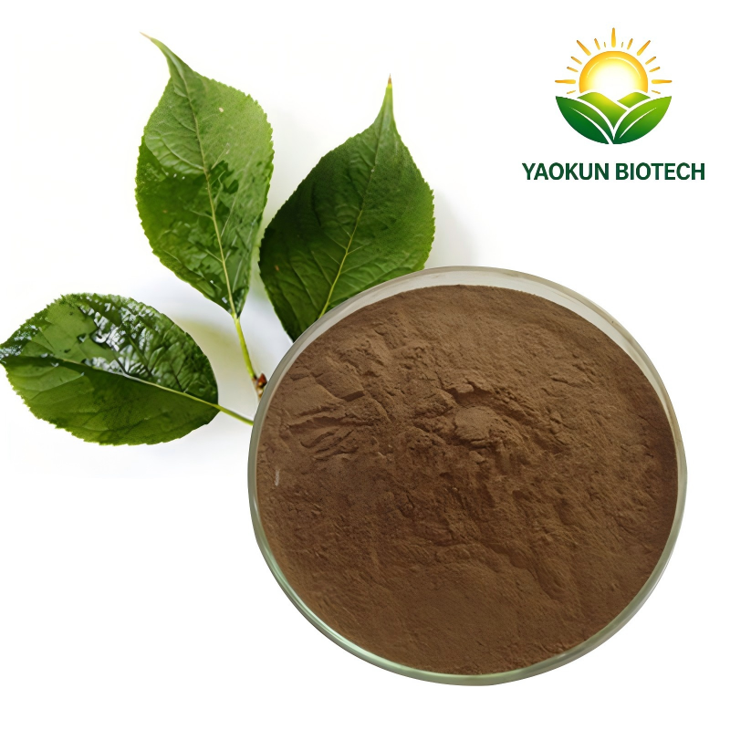Eucommia Ulmoides Leaves Extract Powder /Chlorogenic Acid 5%-20% / Water-Soluble Botanical Ingredients for Food and Beverage Use