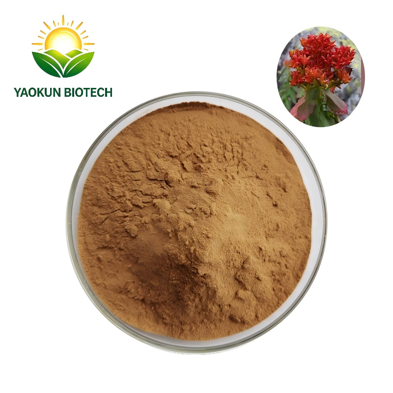 100% Natrual Rhodiola Rosea Extract Powder Salidroside 3% (Rhodiola P.E.)