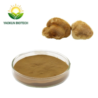 Chinese Wholesale Bulk Herbal Hericium Erinaceus (Lion’s Mane Mushroom) Extract