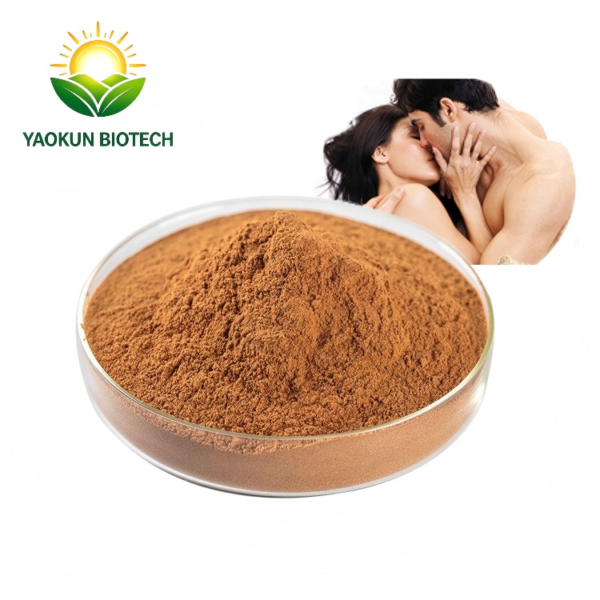 High Quality Tribulus Terrestris Extract Powder 40%‑90% Total Saponins for Men’s Vitality Support
