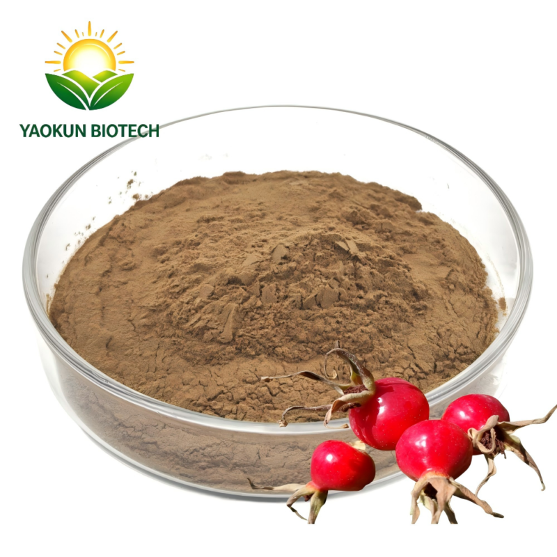 Wholesale Rose Hip Powder Pure Rosehip Extract Powder for Women Skin Care & Antioxidant Support