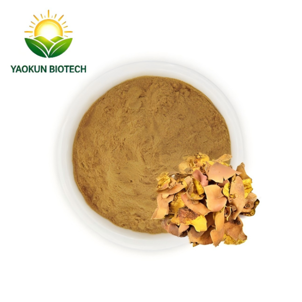 Wholesale Pomegranate Peel Extract Pomegranate Fruit Peel Extract Pomegranate Peel/seed Extract