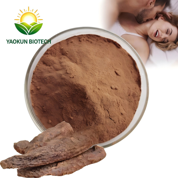 High Purity Cistanche Tubulosa Extract Powder 10:1 20:1 | Natural Plant Extract for Men’s Health Support