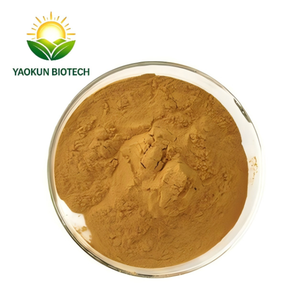 Natural Ginkgo Biloba Leaf Extract Powder Egb 761 Supplement Ginkgo Biloba Extract