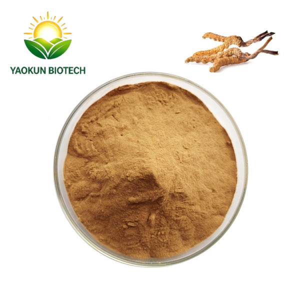 Caterpillar Fungus Pure Natural Cordyceps Extract Cordyceps Sinensis Powder Yarsagumba Powder