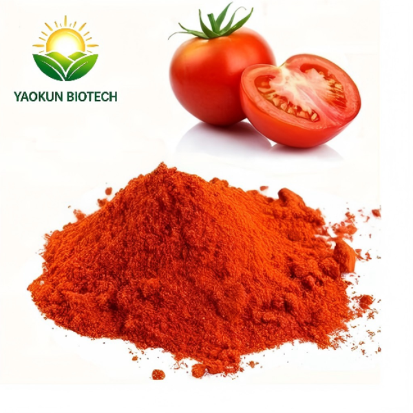 High Quality Tomato Extract 10% Lycopene Powder | Natural Antioxidant Tomato Juice Powder