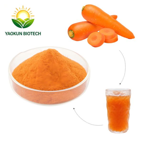Orange-Red Natural Vegetable Fruit Powder Carrot Powder Carrot Juice Powder