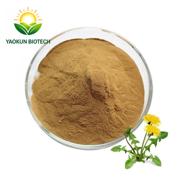 Factory Wholesale High Quality Multipurpose Pure Natural Dandelion Extract Powder