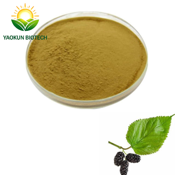 HDM Supply 100% Pure Natural Mulberry Leaf Extract Powder