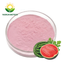 Best Price Factory Supply High Quality Watermelon Fruit Extract Powder Freeze Dried Watermelon Juice Powder