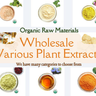 Global Plant Extracts Industry: Trends, Future Prospects & Social Value | Premium Natural Plant Extracts Supplier