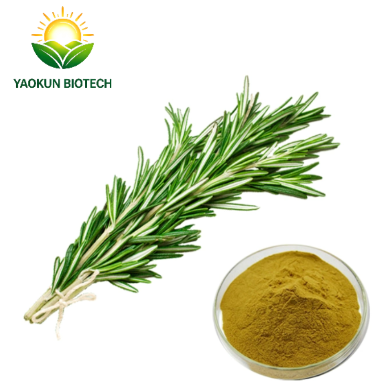 Wholesale High Purity Rosemary Extract Powder Natural Antioxidant For Food & Cosmetic