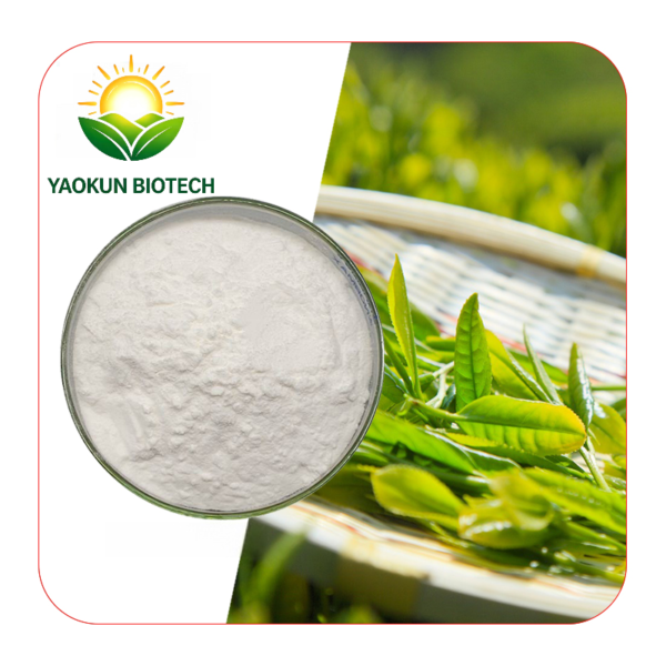 Yaokun Supply HPLC Green Tea Extract 98% Tea Polyphenols 90% EGCG Food & Cosmetic Grade Raw Powder