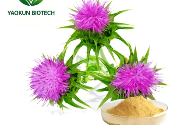 80% silymarin milk thistle seed extract bulk powder food grade liver support raw material